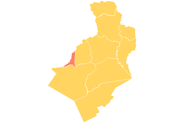 Quezalguaque (Municipio)